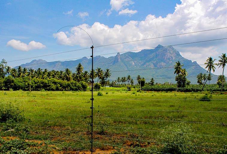 Elephant Control Fence Image - Agrifenz&reg;