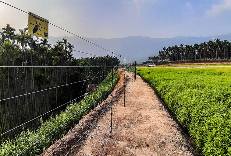 Elephant Control Fence Image - Agrifenz&reg;