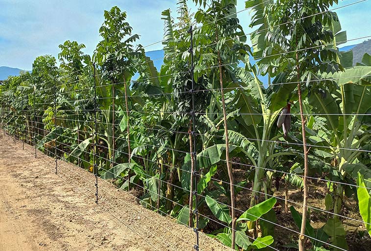 Fence Image - Agrifenz&reg;