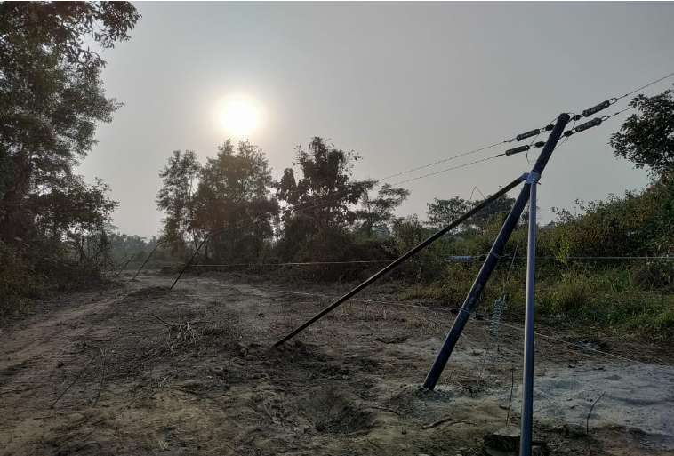 Elephant Control Fence Image - Agrifenz&reg;